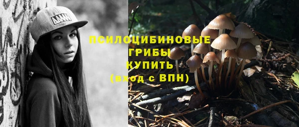 метадон Богородицк