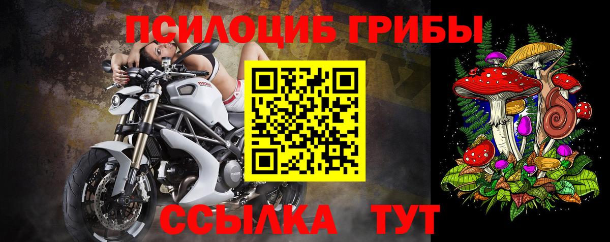 Галлюциногенные грибы MAGIC MUSHROOMS  Вход с VPN  Саяногорск 