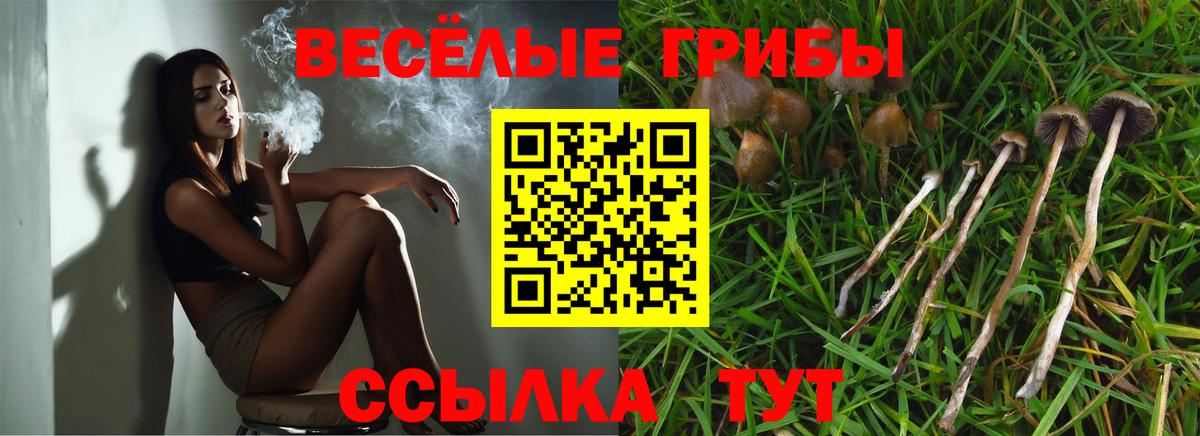 Бошки Шишки  NBOMe  Меф   ГАШ  МЕТАМФЕТАМИН  ЭКСТАЗИ  Саяногорск  КОКАИН  Вход с VPN 
